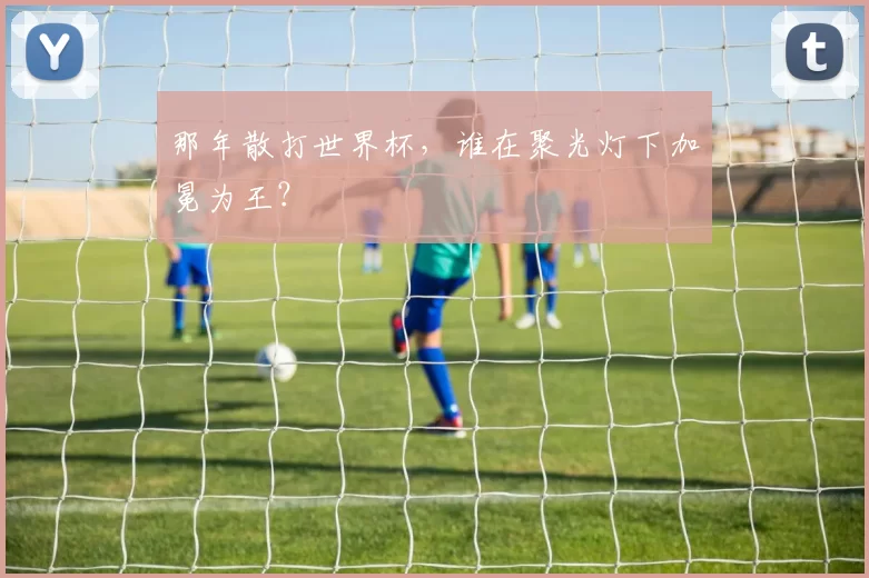 那年散打世界杯，谁在聚光灯下加冕为王？