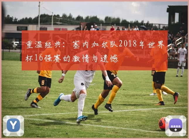 重温经典:塞内加尔队2018年世界杯16强赛的激情与遗憾