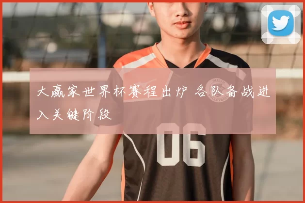 大赢家世界杯赛程出炉 各队备战进入关键阶段