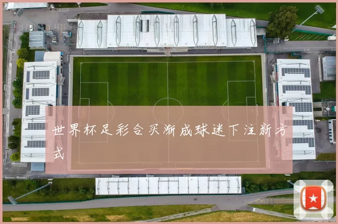 世界杯足彩合买渐成球迷下注新方式