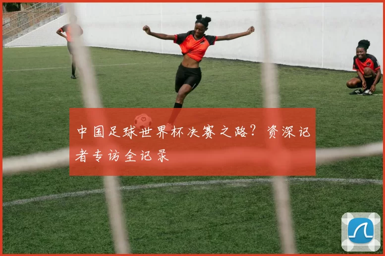 中国足球世界杯决赛之路?资深记者专访全记录