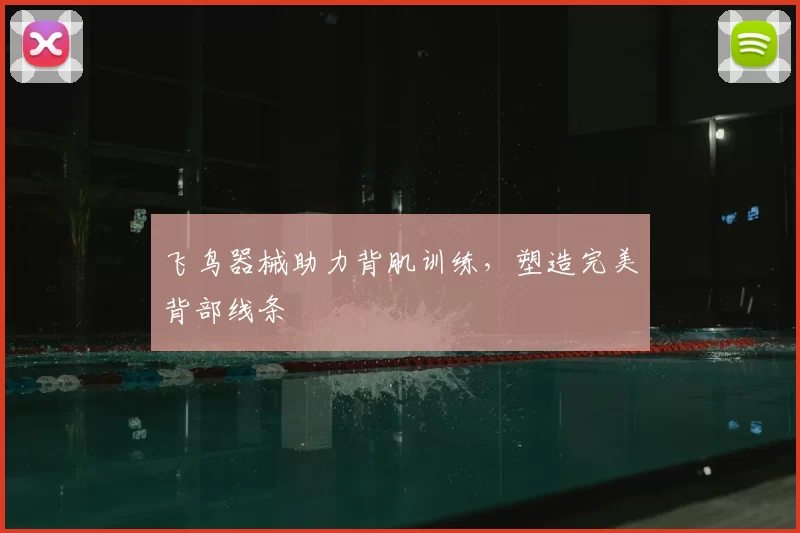 飞鸟器械助力背肌训练,塑造完美背部线条