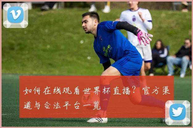 如何在线观看世界杯直播？官方渠道与合法平台一览