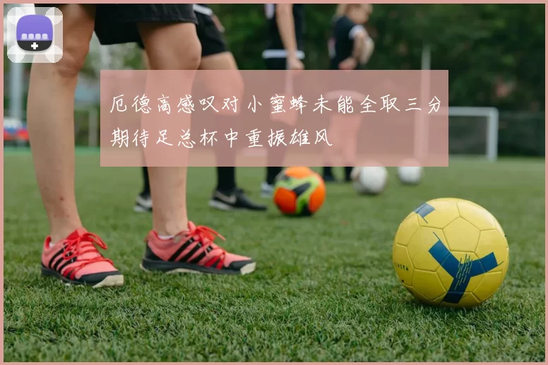 厄德高感叹对小蜜蜂未能全取三分期待足总杯中重振雄风
