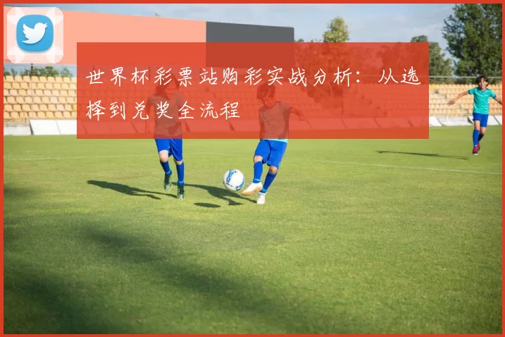世界杯彩票站购彩实战分析:从选择到兑奖全流程