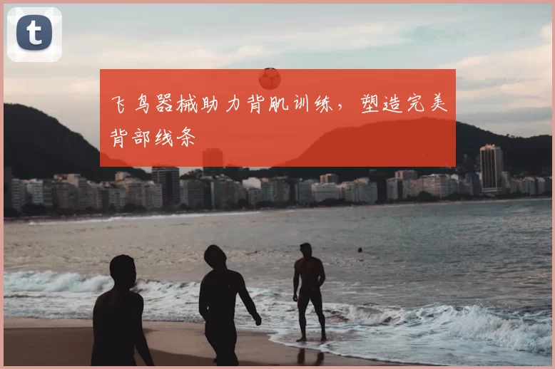 飞鸟器械助力背肌训练,塑造完美背部线条