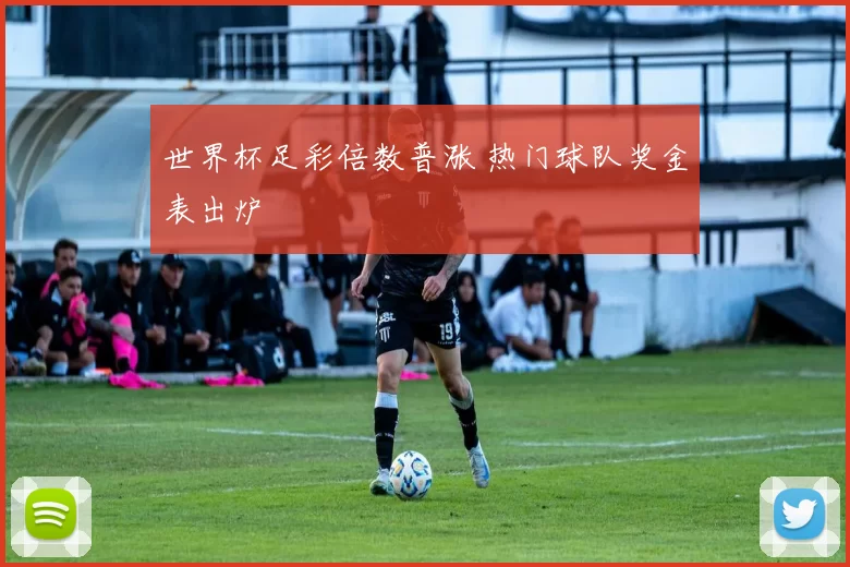 世界杯足彩倍数普涨 热门球队奖金表出炉