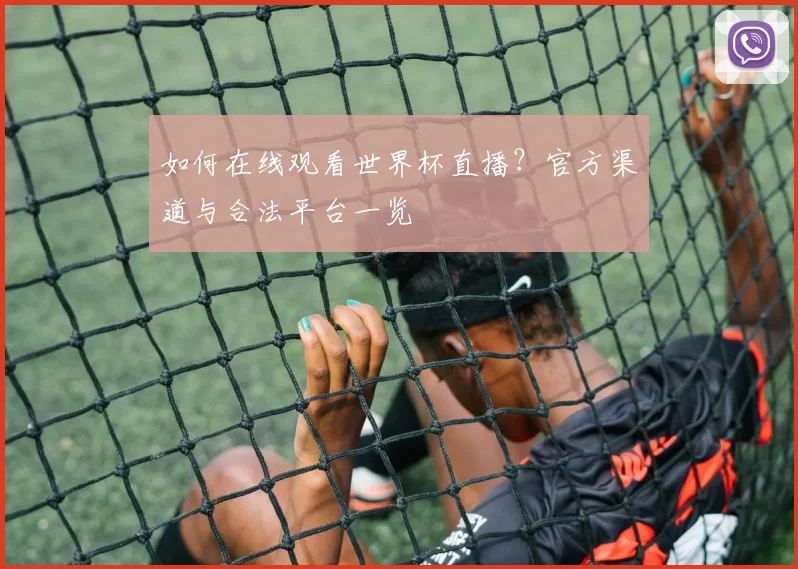 如何在线观看世界杯直播?官方渠道与合法平台一览